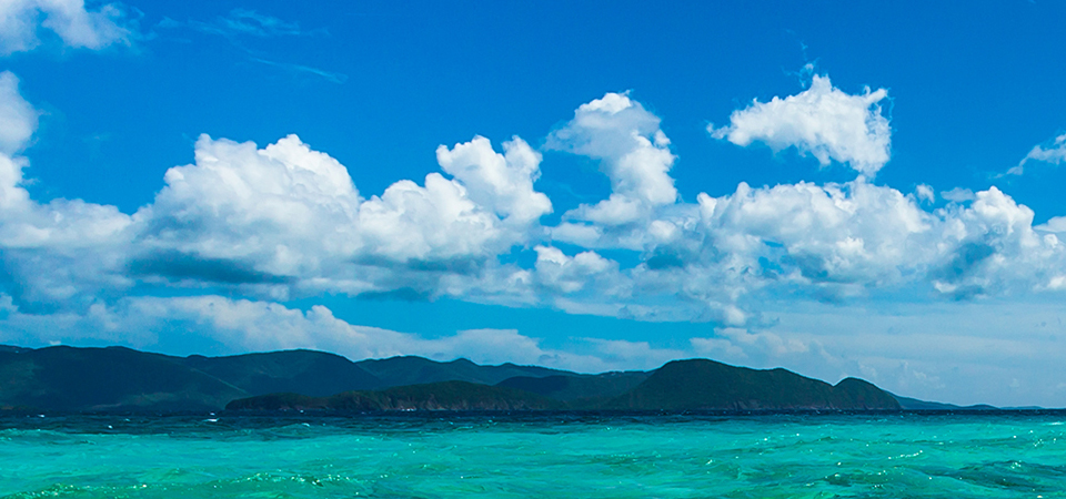 广东伊齐爽食品实业有限公司